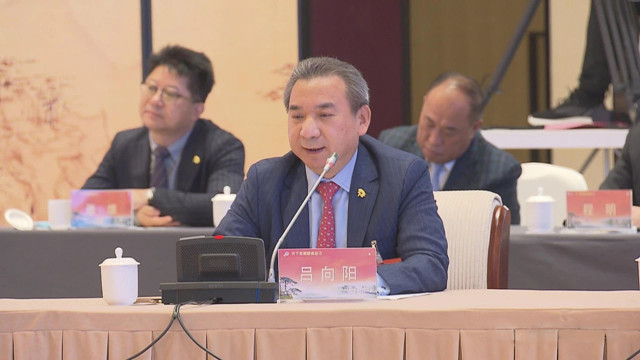 集團(tuán)董事長(zhǎng)呂向陽在會(huì)議上發(fā)言.jpg